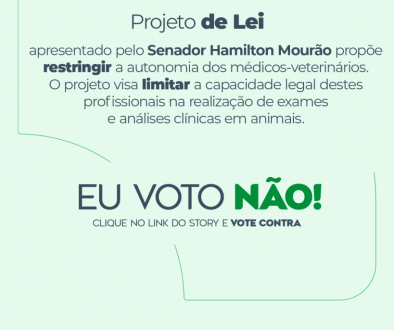 projeto de lei