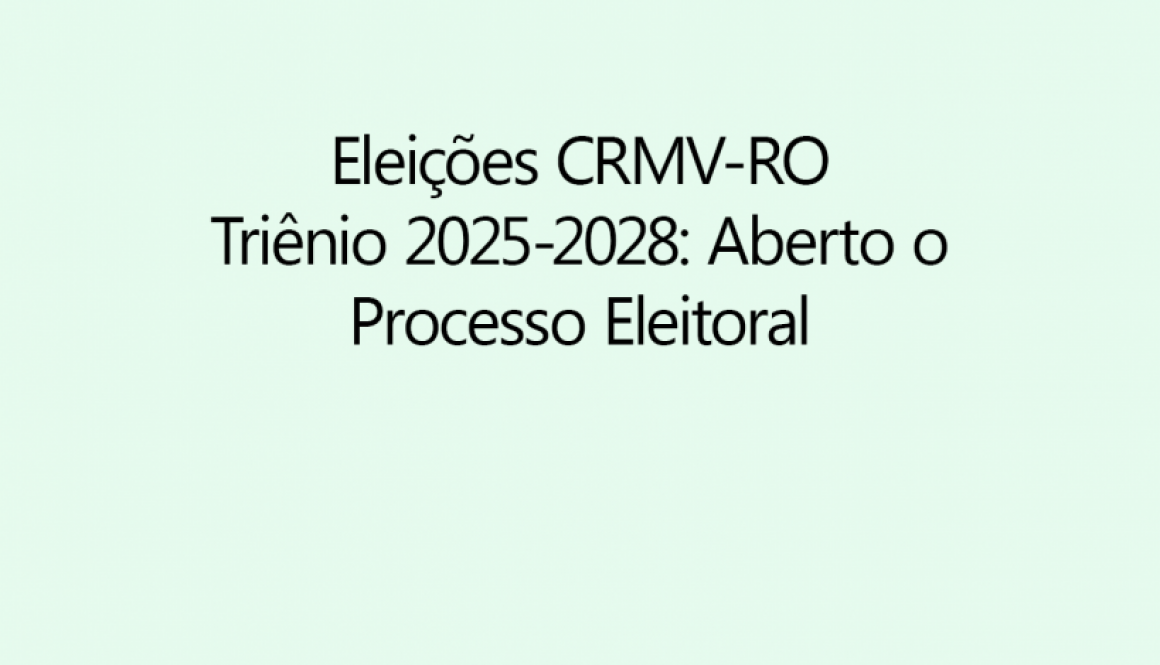 eleicoes